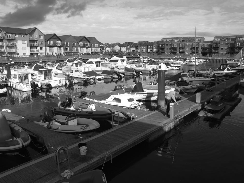 Limited Edition A4 Print: Exmouth Harbour